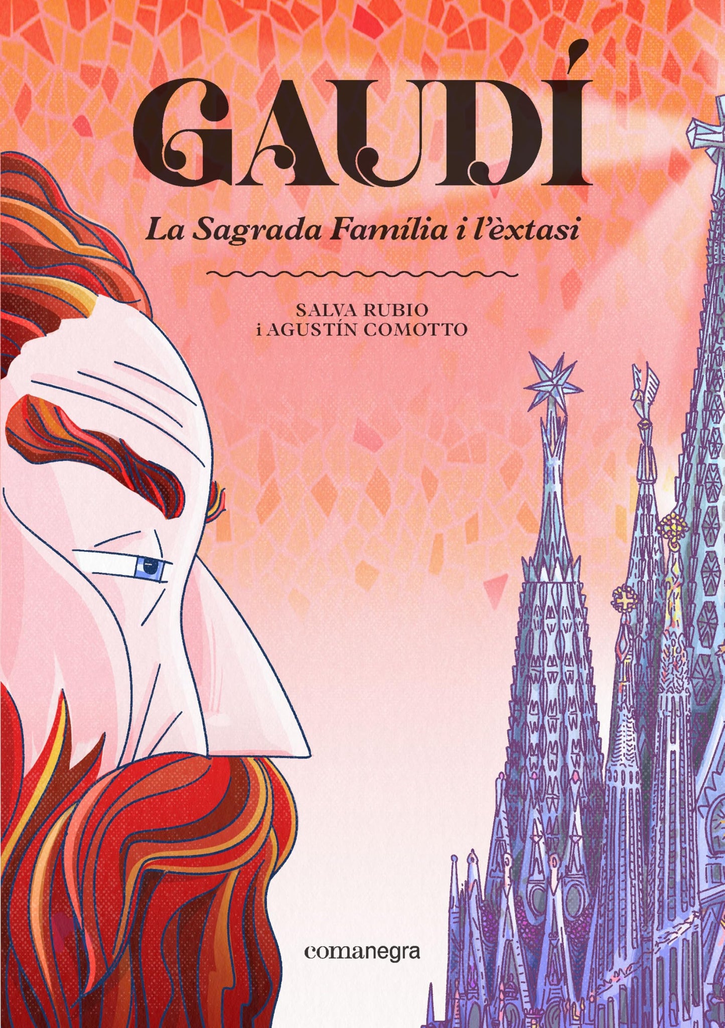 Libro: Gaudí. La Sagrada Família i l'èxtasi