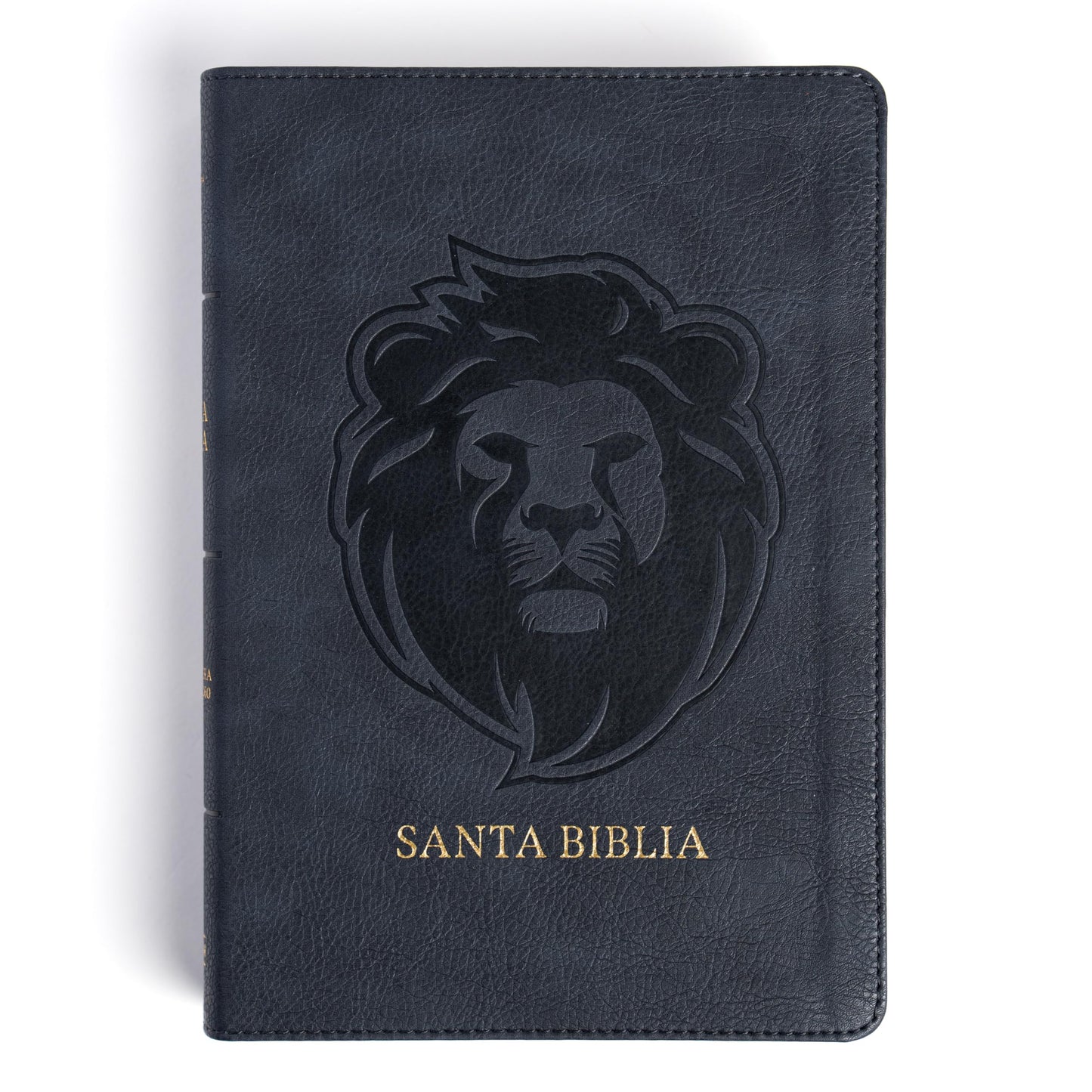 Libro: RVR 1960 Biblia letra grande tamaño manual edición especial, ceniza, símil piel (RVR 1960 Hand Size Giant Print, Ash, LeatherTouch Special Edition) (Spanish Edition)