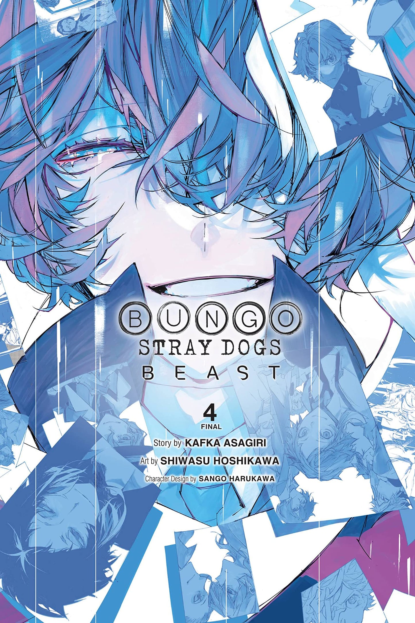 Libro: Bungo Stray Dogs: Beast, Vol. 4