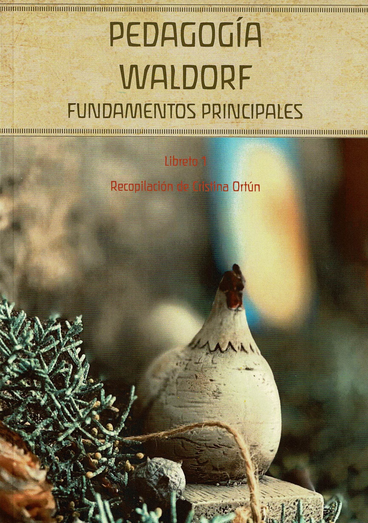 Libro: Pedagogía Waldorf