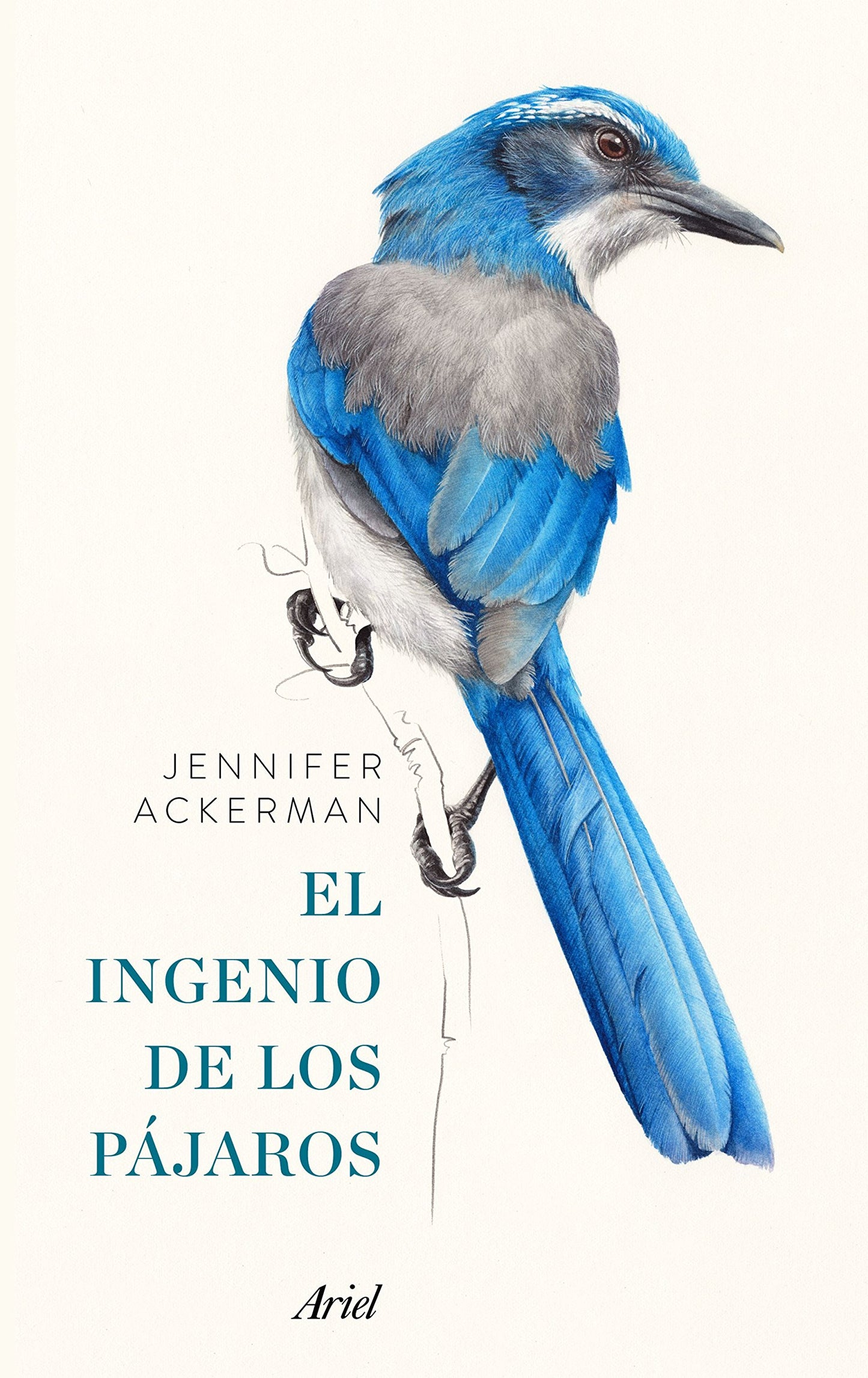 Libro: El ingenio de los pájaros