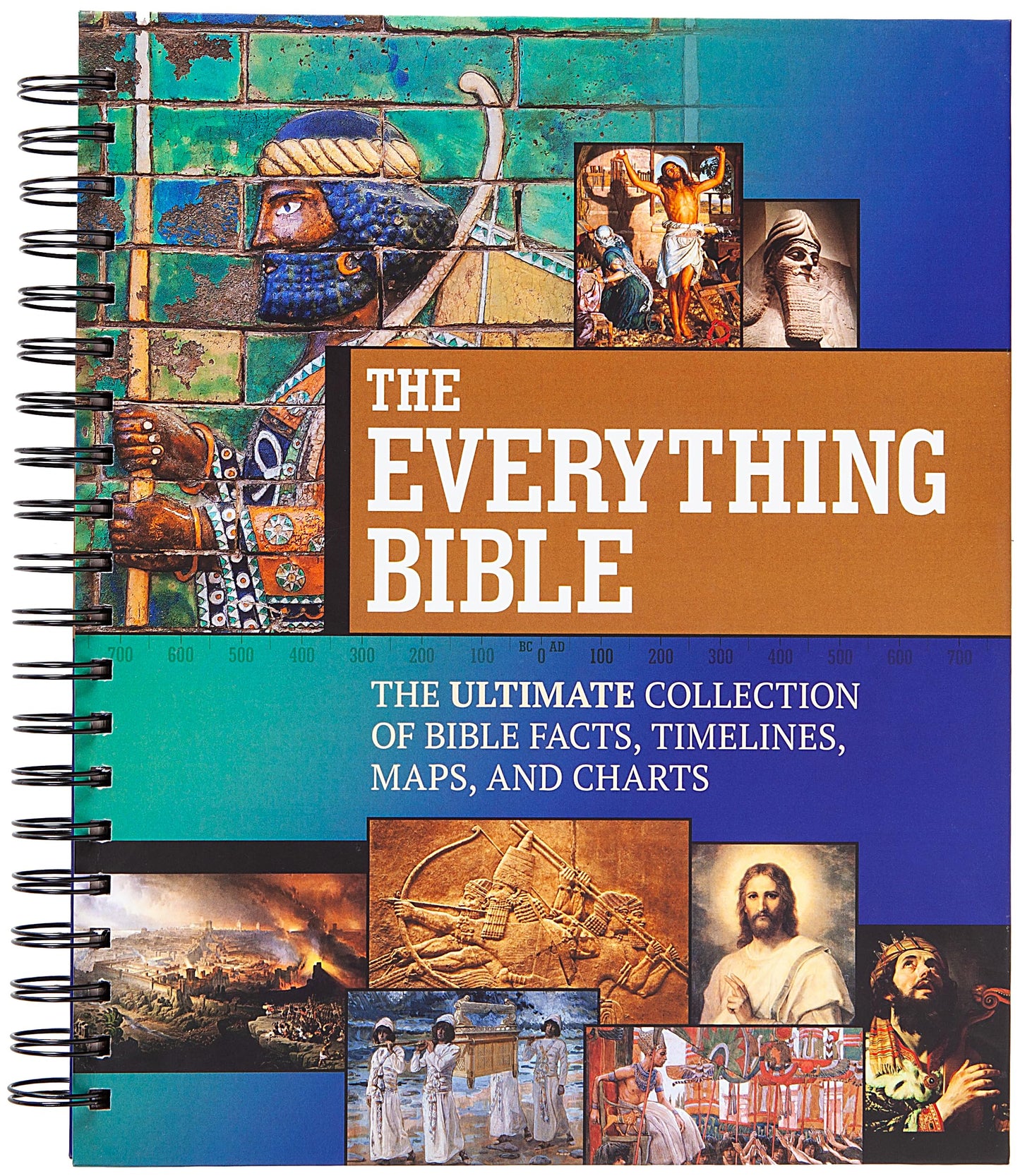 Libro: The Everything Bible: The Ultimate Collection of Bible Facts, Timelines, Maps, and Charts