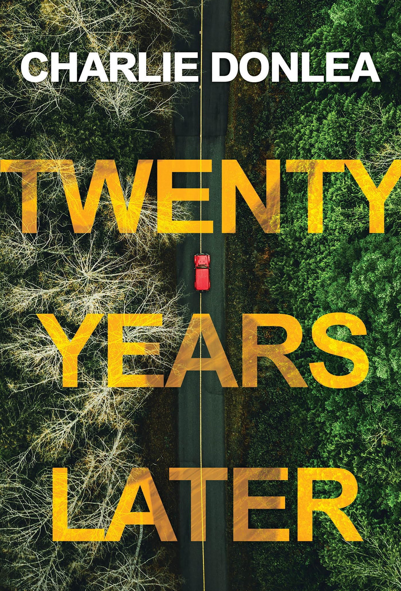 Libro: Twenty Years Later: A Riveting New Thriller