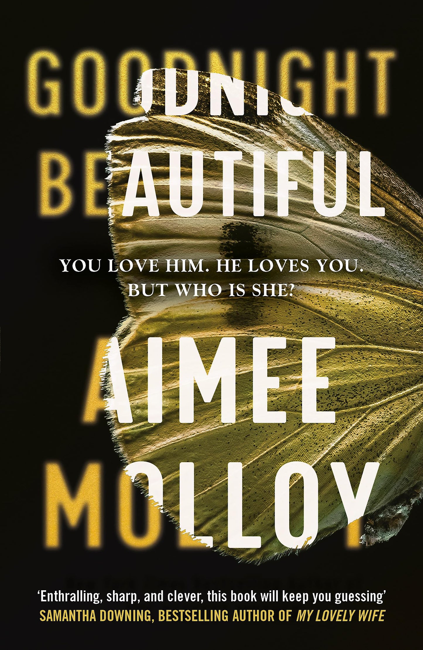Libro: Goodnight, Beautiful: The utterly gripping psychological thriller full of suspense