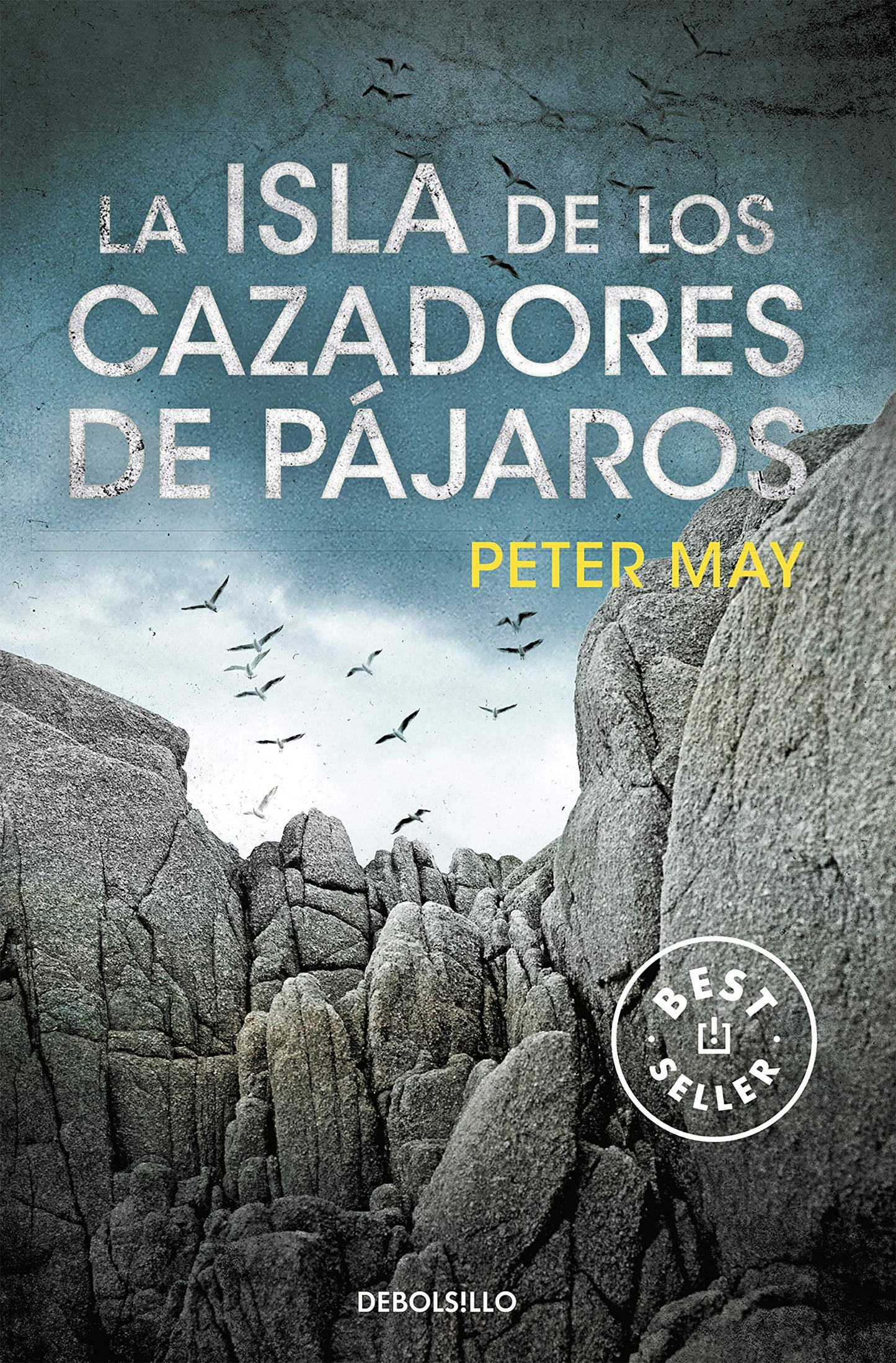 Libro: La isla de los cazadores de pájaros (Trilogía de Lewis 1)