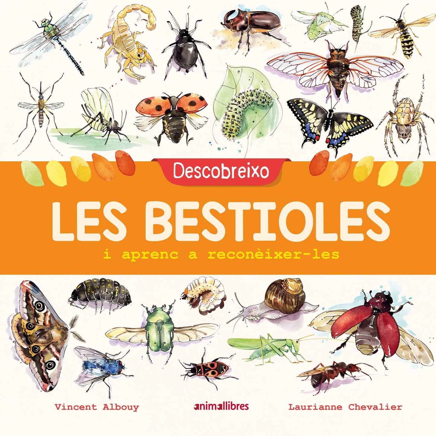 Libro: Descobreixo les bestioles i aprenc a reconèixer-les
