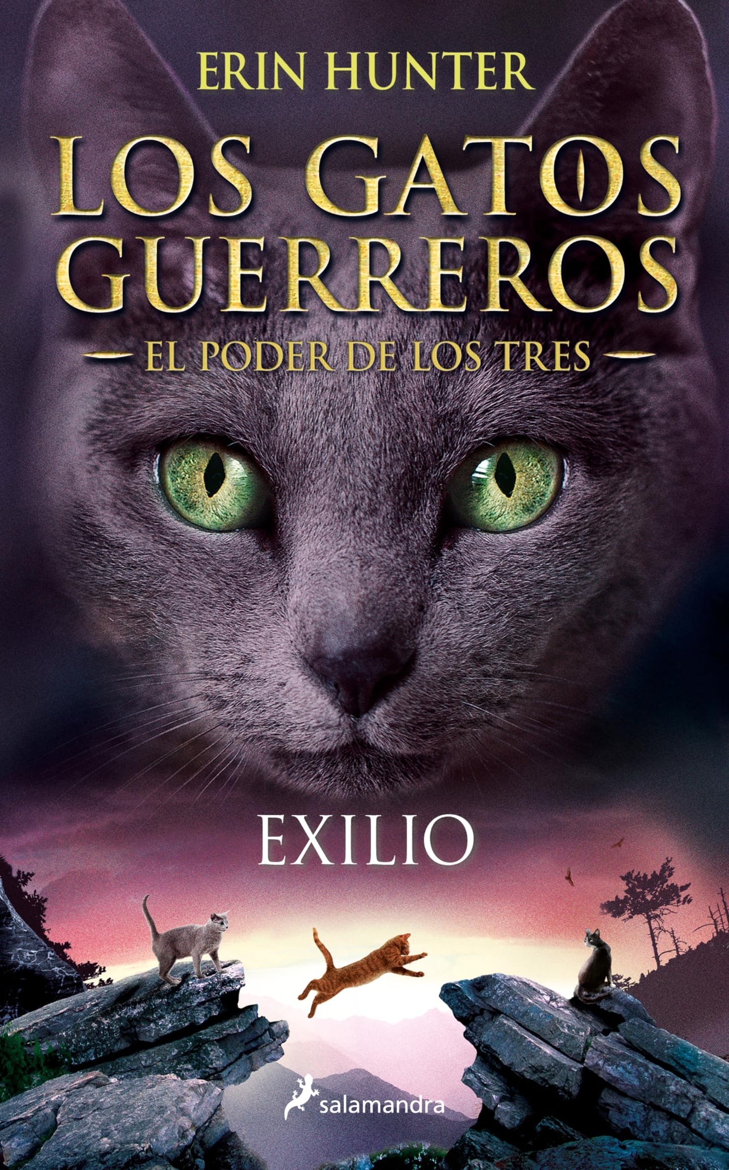 Libro: Exilio / Outcast: Los gatos guerreros - El poder de los tres III: 3 (Colección Salamandra Juvenil)