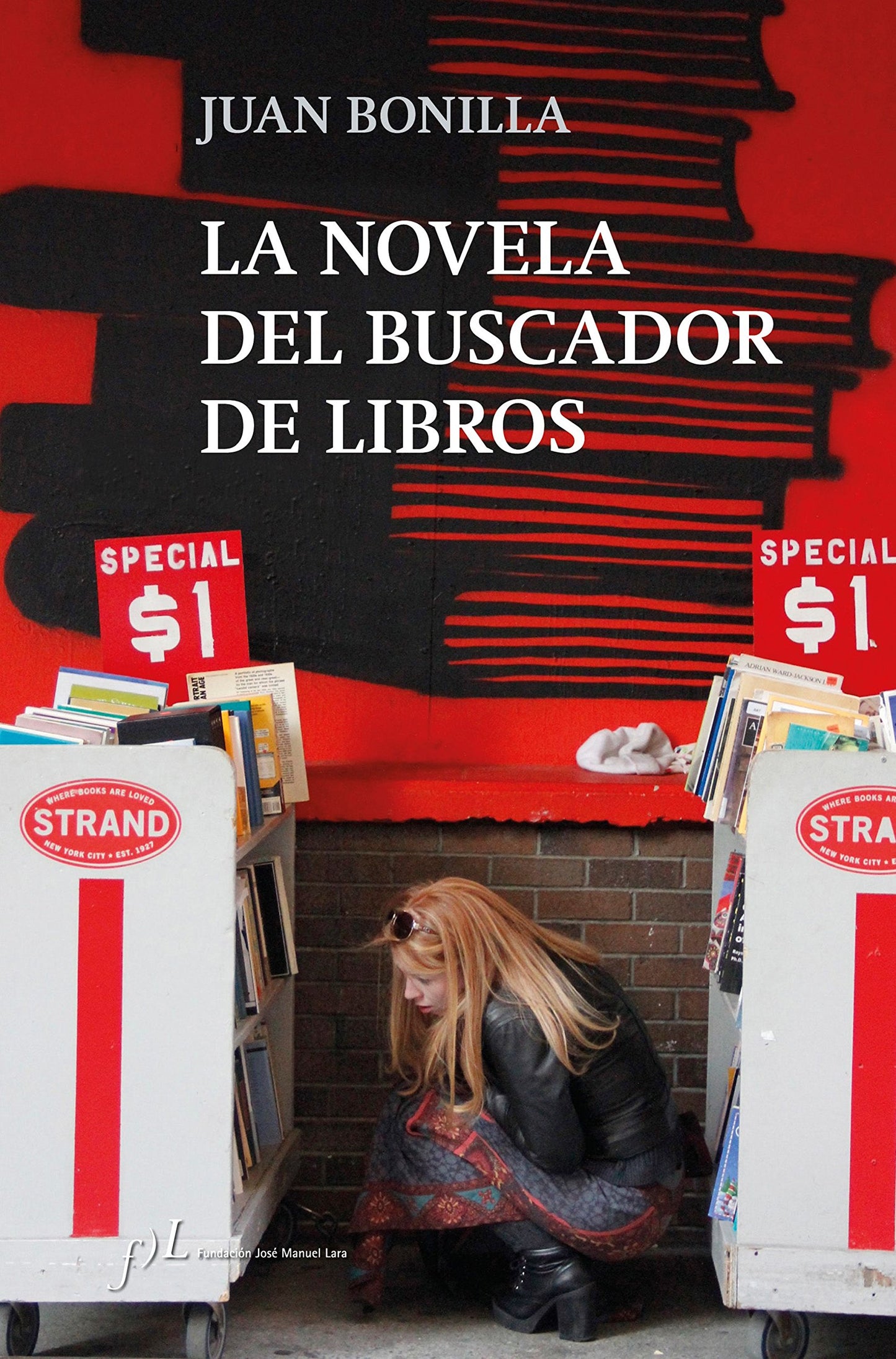 Libro: La novela del buscador de libros