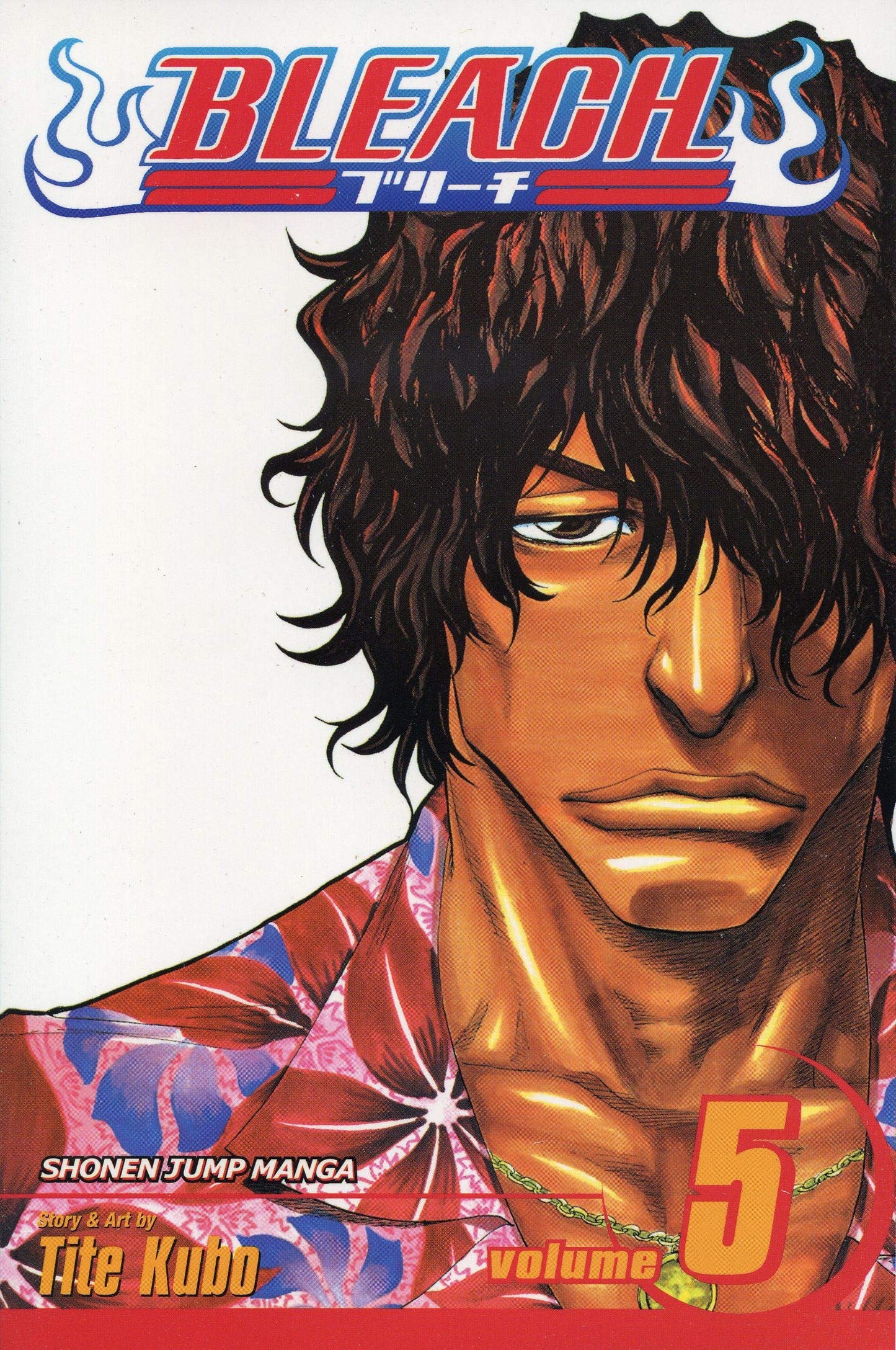 Libro: Bleach, Vol. 5