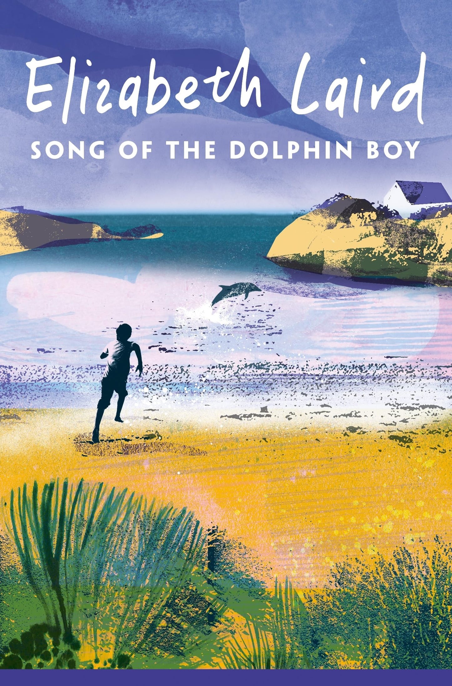 Libro: Song of the Dolphin Boy