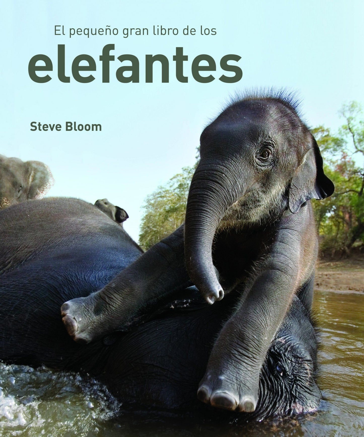 Libro: EL PEQUEÑO GRAN LIBRO DE LOS ELEFANTES (Spanish Edition)