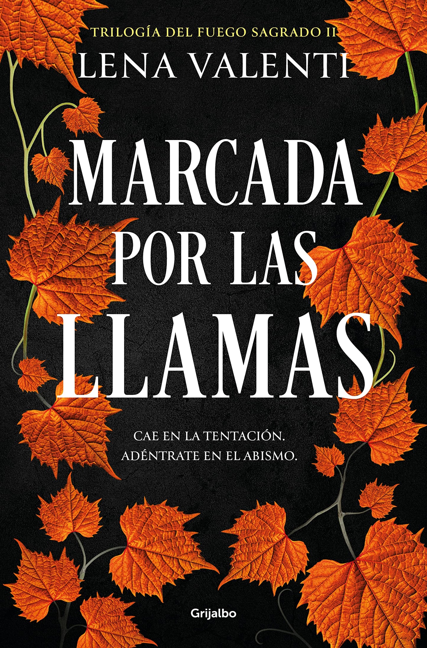 Libro: Marcada por las llamas (Trilogía del Fuego Sagrado 2) (Ficción)
