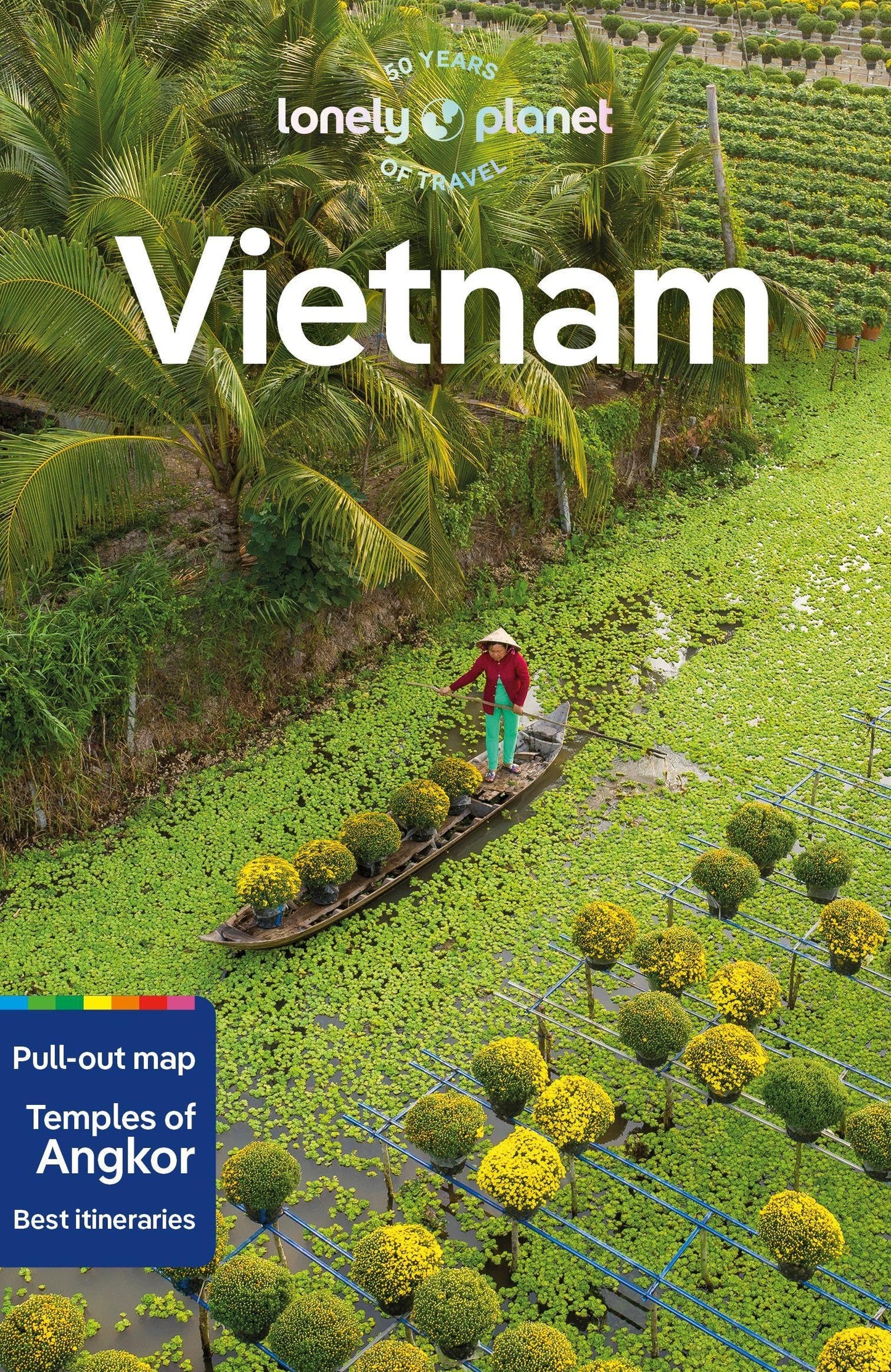 Libro: Lonely Planet Vietnam: Detailed Itineraries | Travel Like a Local | Insider Tips | Covers Hanoi & Halong Bay, Ho Chi Minh City, Hue and Hoi An PLUS Angkor Wat (Travel Guide)