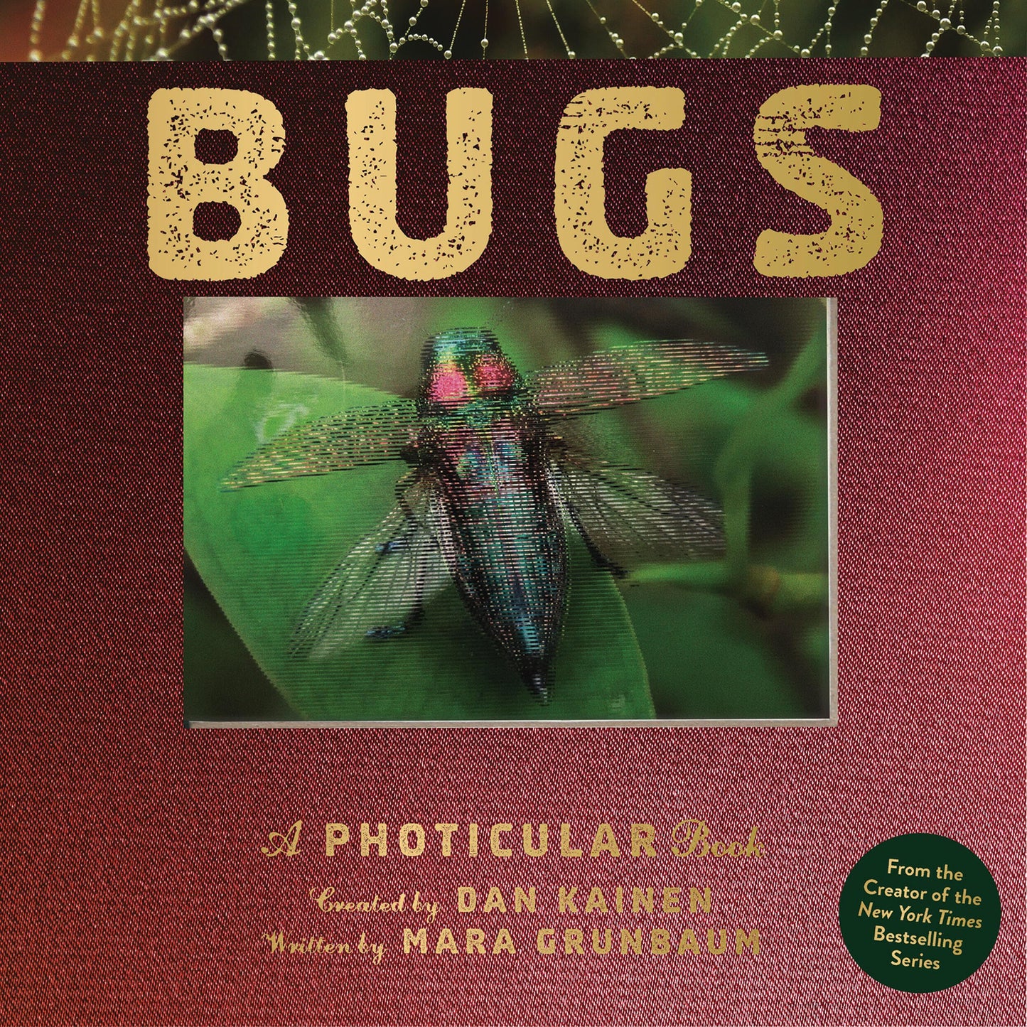 Libro: Bugs: A Photicular Book