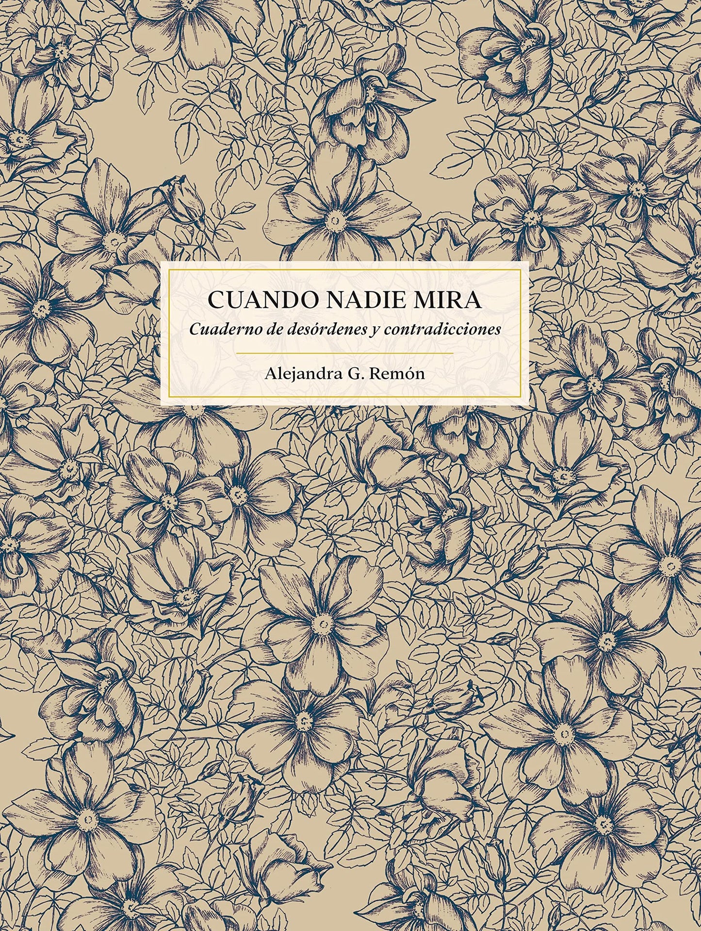 Libro: Cuando nadie mira: Cuaderno de desórdenes y contradicciones (Literatura ilustrada)