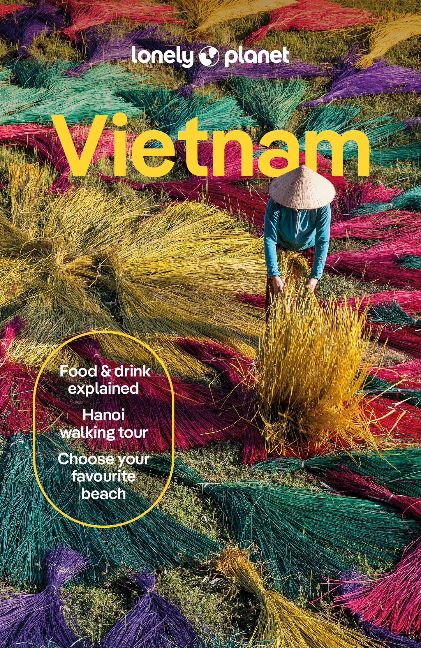 Libro: Lonely Planet Vietnam: Plan the Trip of a Lifetime | Detailed Itineraries & Maps | Insider Tips | Covers Hanoi, Northern Vietnam, Southeast Coast and more (Travel Guide)
