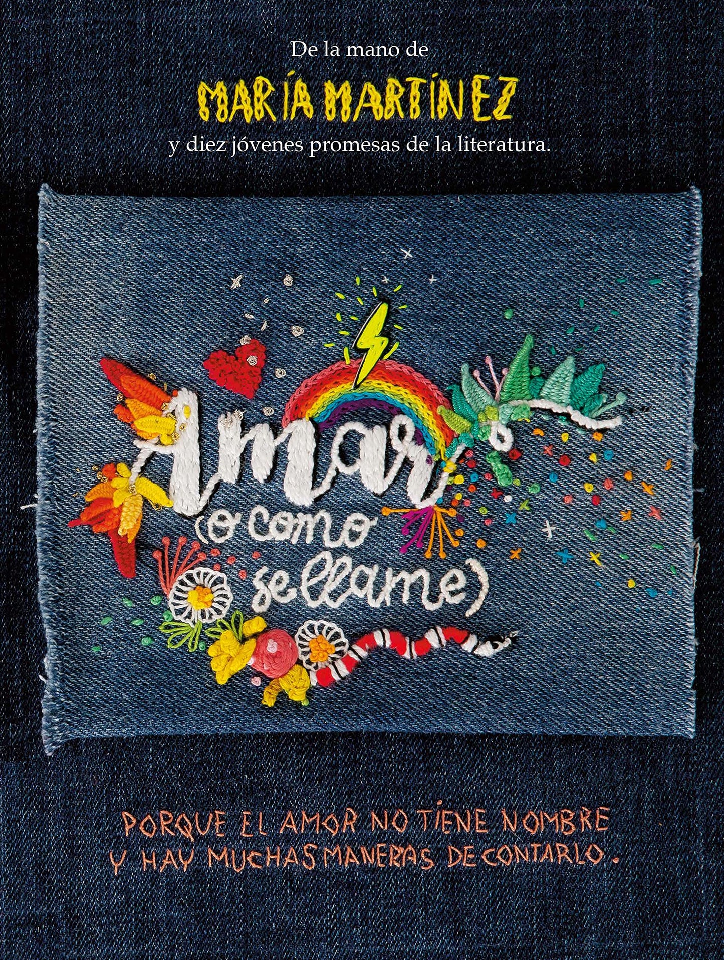 Libro: Amar (o como se llame)
