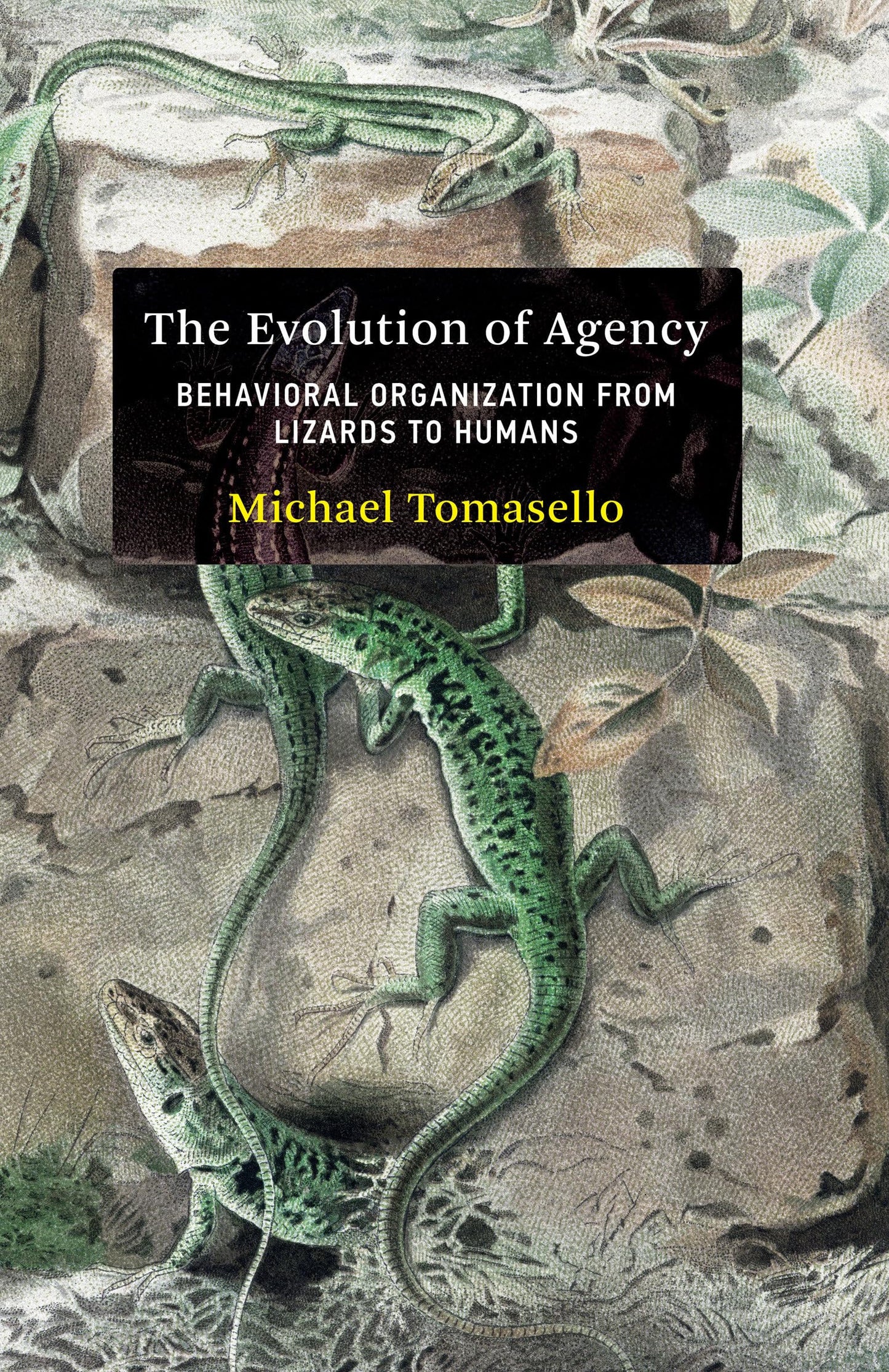 Libro: The Evolution of Agency: Behavioral Organization from Lizards to Humans