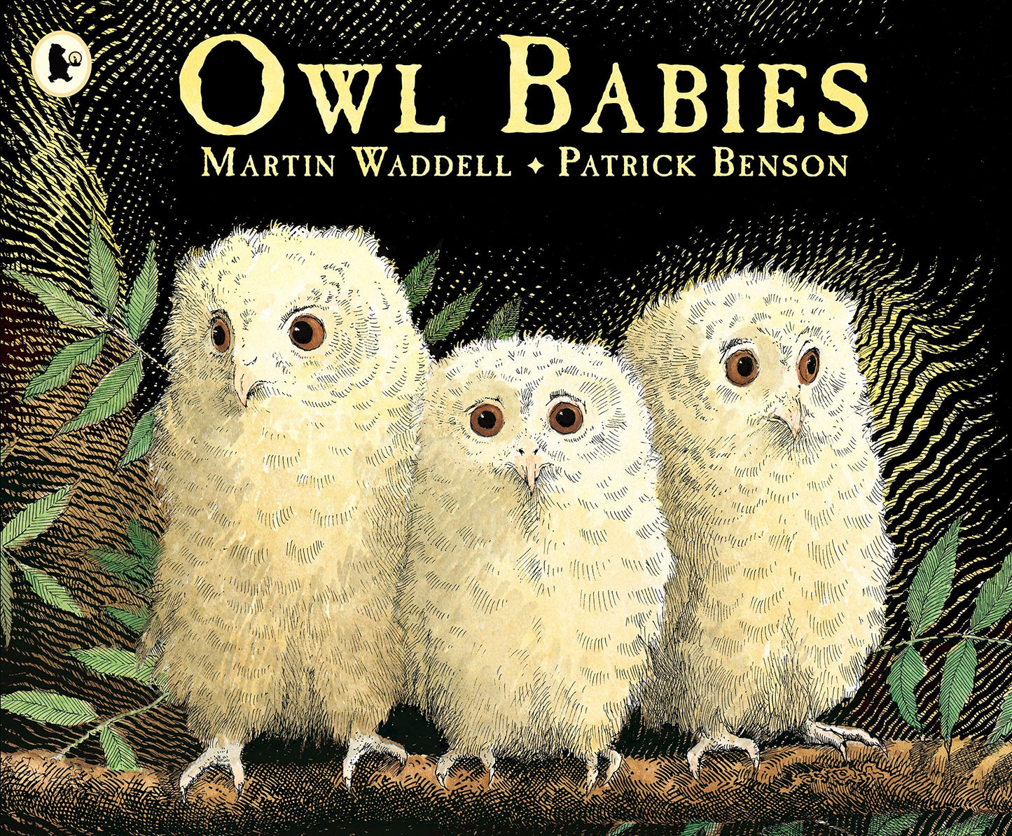 Libro: Owl babies