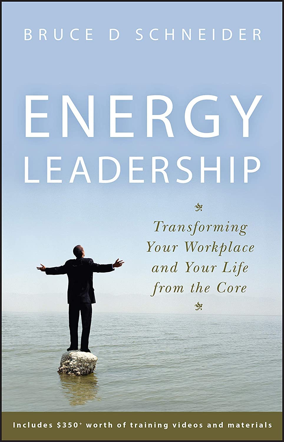 Libro: Energy Leadership: Transforming Your Workplace and Your Life from the Core