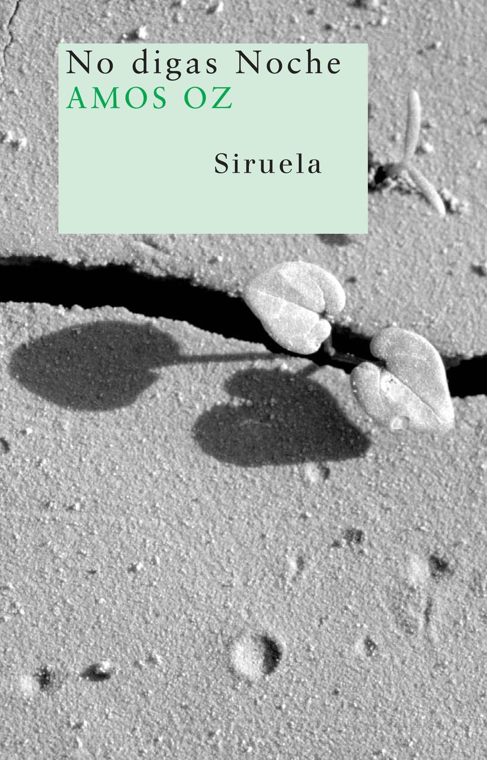 Libro: No digas Noche