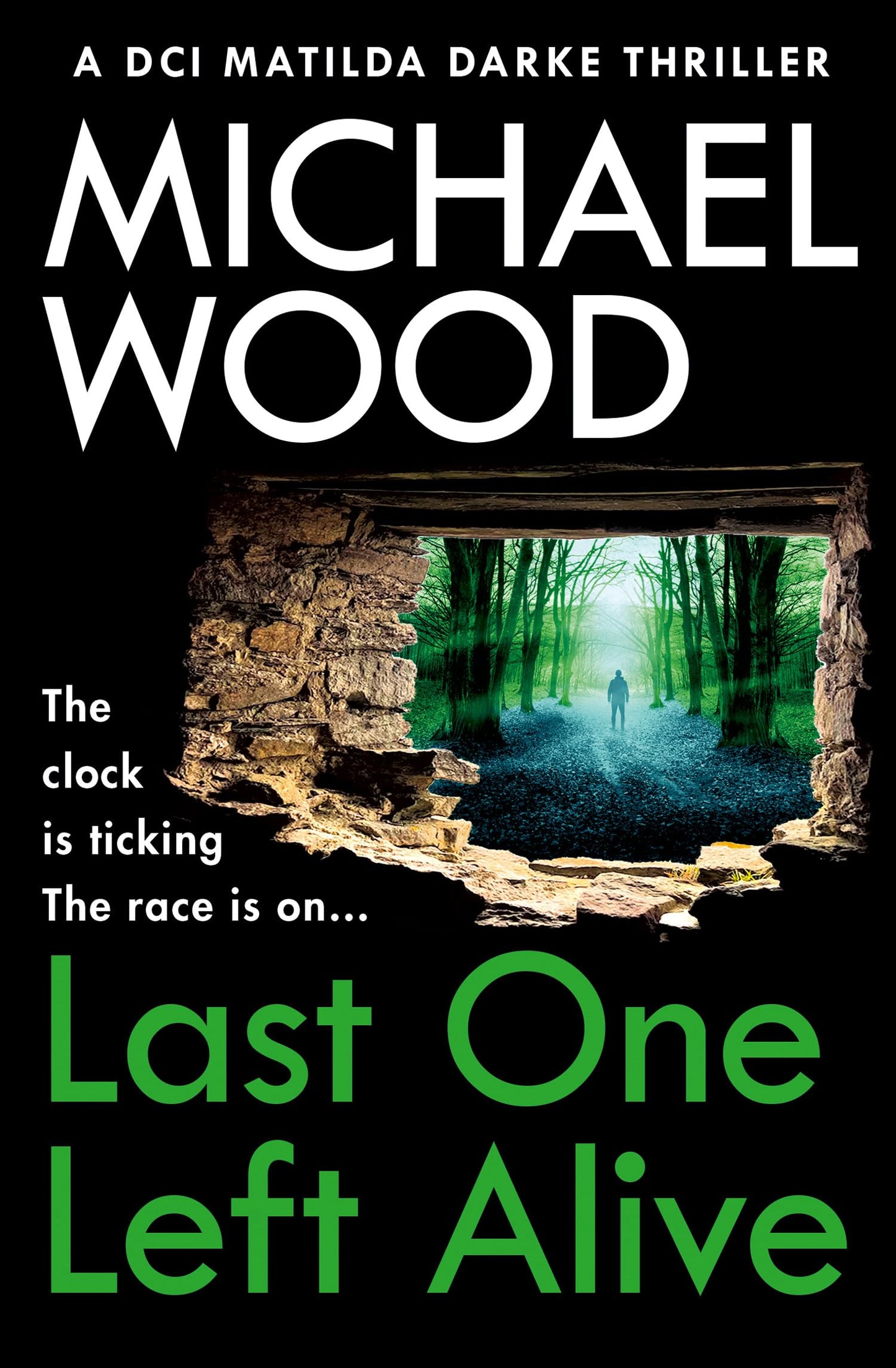 Libro: One More Chapter Last One Left Alive.