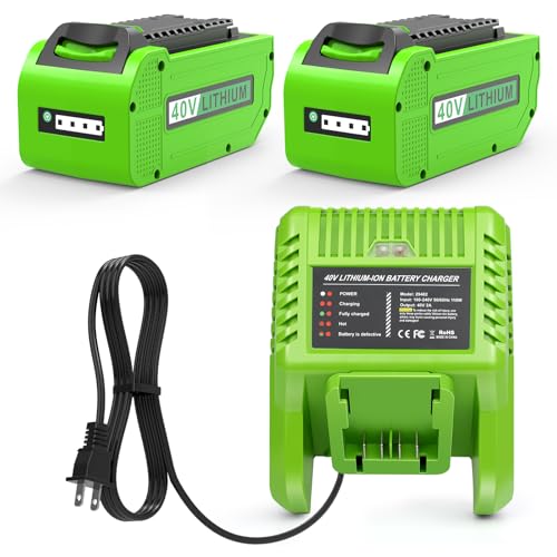 Batería-de-repuesto-y-cargador-para-batería-Greenworks-de-40-V,-compatible-con-herramientas-eléctricas-GreenWorks-G-MAX-de-6,0-Ah-y-40-V:-29462,-29252,-20202,-22262,-25312,-25322,-20642,-22272,-27062-y-21242-(paquete-de-2-+-cargador)