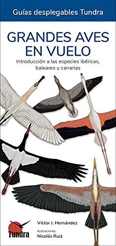 Libro: GRANDES AVES EN VUELO GUIAS DESPLEGABLES TUNDRA