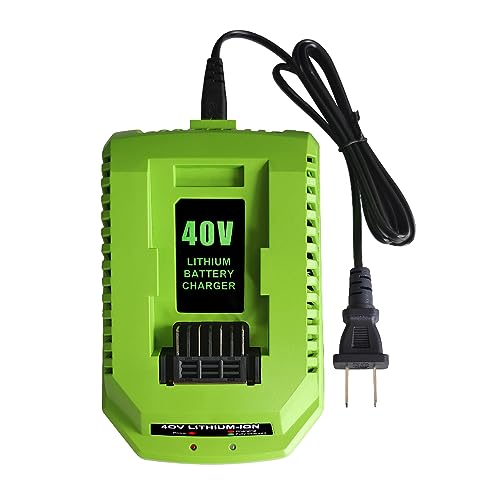 Cargador-de-batería-de-repuesto-de-40-V-y-2-A-compatible-con-baterías-Greenworks-de-iones-de-litio-de-40-V-(29482,-29462,-29472,-2901319,-2938302,-BAF702,-L-300,-BAF704,-BAF705,-herramienta-eléctrica-G-MAX-de-40-V-(29252,-20202-y-22262)