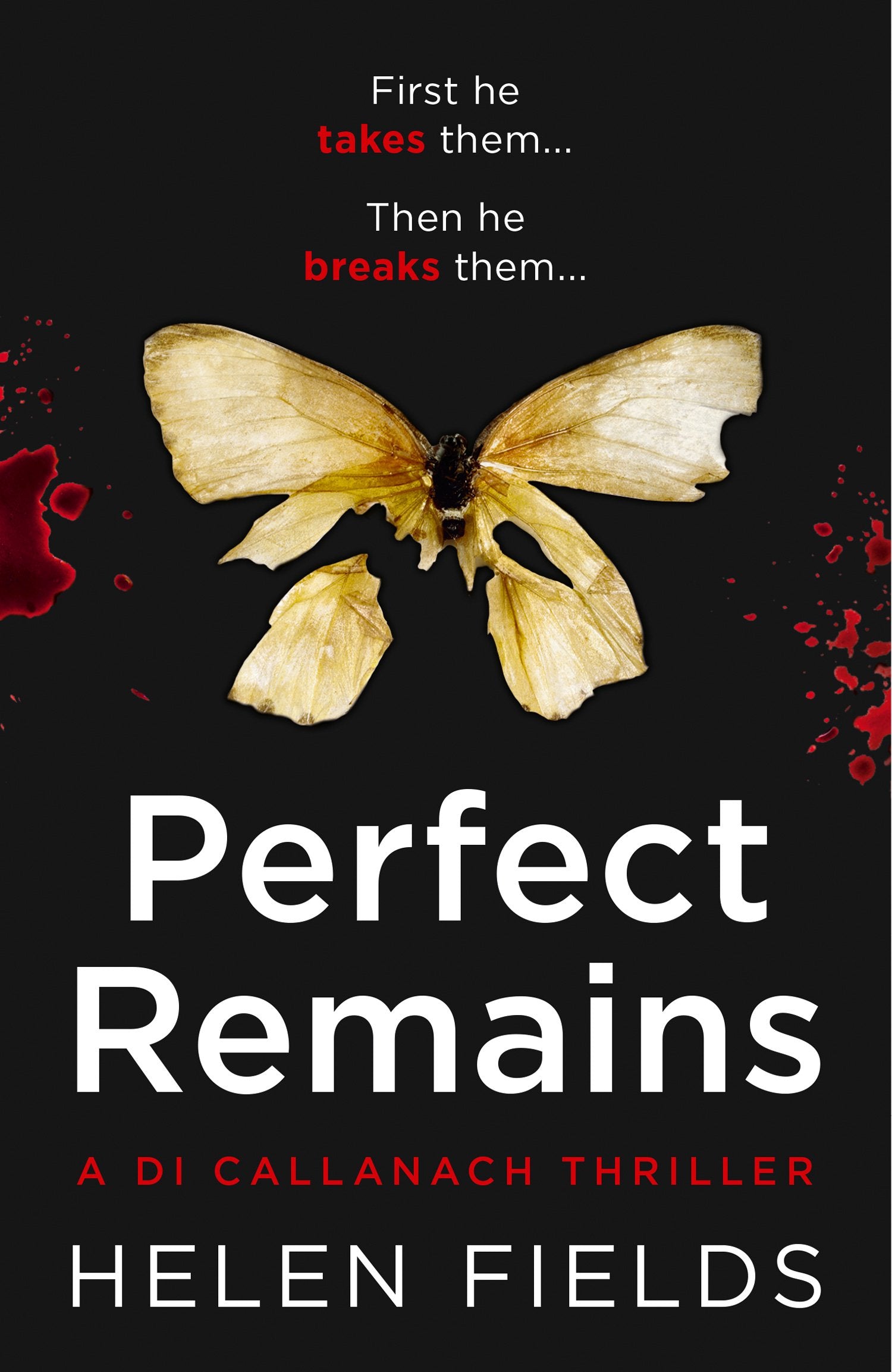 Libro: Perfect Remains