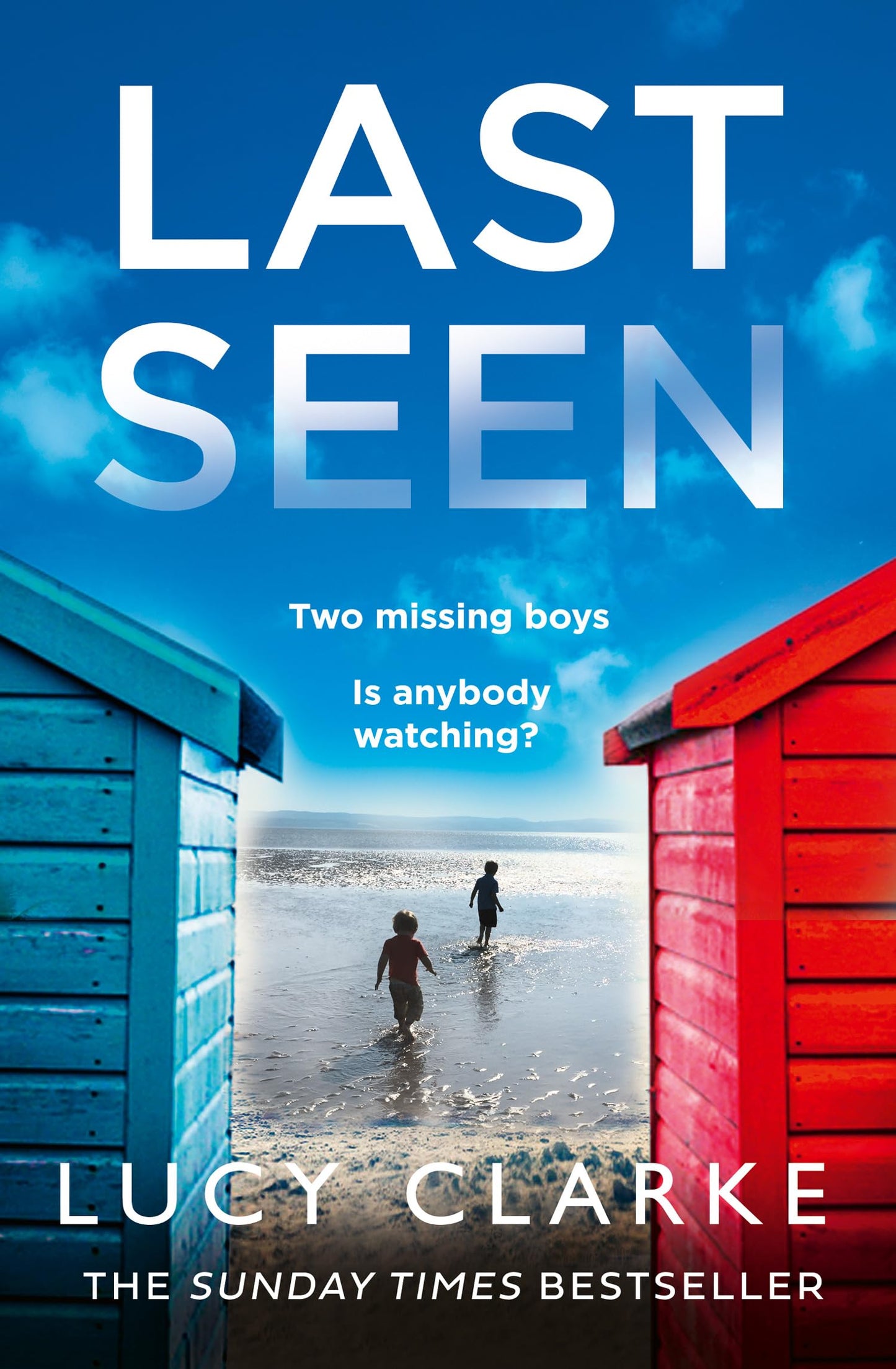 Libro: Last Seen
