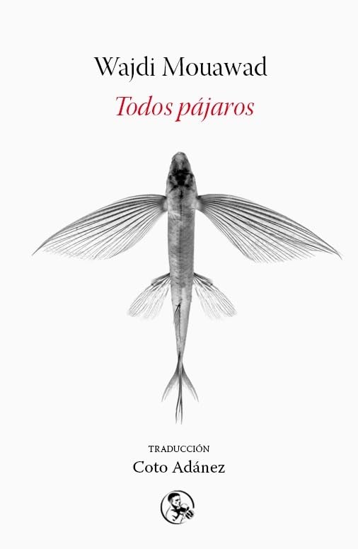 Libro: Todos pájaros: 40 (Libros robados)
