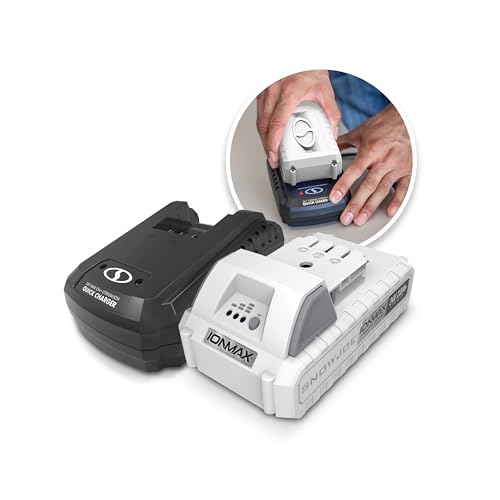 Kit-de-arranque-rápido-Snow-Joe-24V-2AMP-SK1R-(con-batería-de-2.0-Ah-y-cargador)