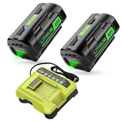 Kit-de-repuesto-Energup-de-2-baterías-y-cargador-Ryobi-de-40-V-(40-V,-6,5-Ah)-para-baterías-de-litio-de-40-V-OP4026,-OP40601,-OP4050A,-OP4040,-OP4030,-OP4050-y-cargador-Ryobi-OP401-de-40-V.