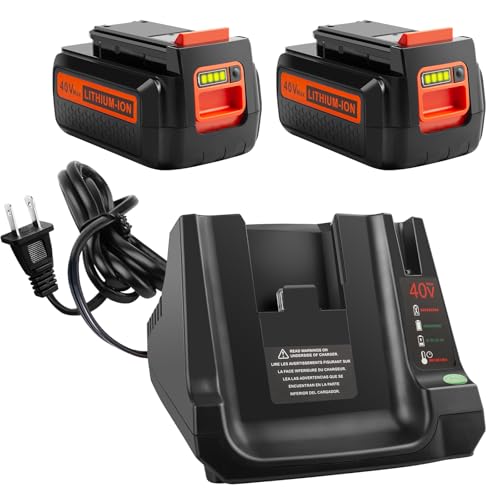 ¿Te-apetece-comprar-una-batería-de-litio-de-40-V-para-Black-&-Decker?-Combo-de-batería-y-cargador-de-3000-mAh-compatible-con-Black-&-Decker-BX2040,-LBXR2036,-LBXR36,-LBX1540-y-LBX2540.