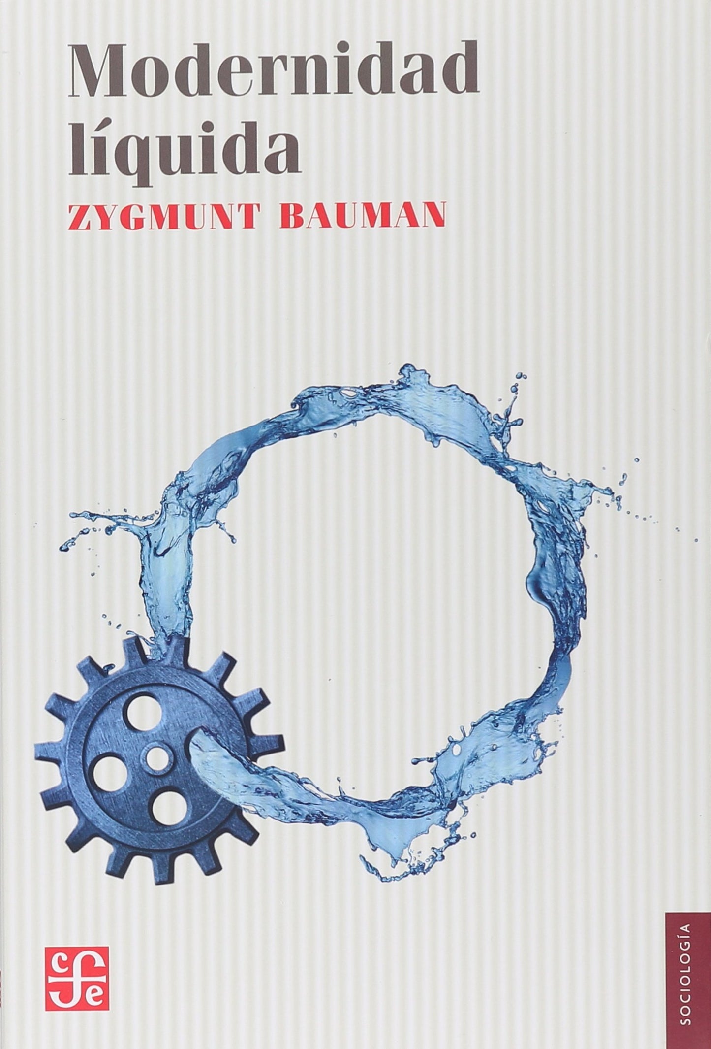 Libro: Modernidad líquida