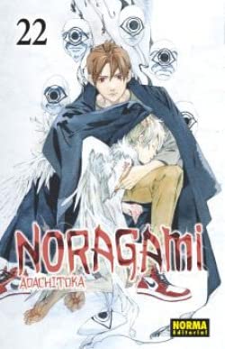 Libro: Noragami 22