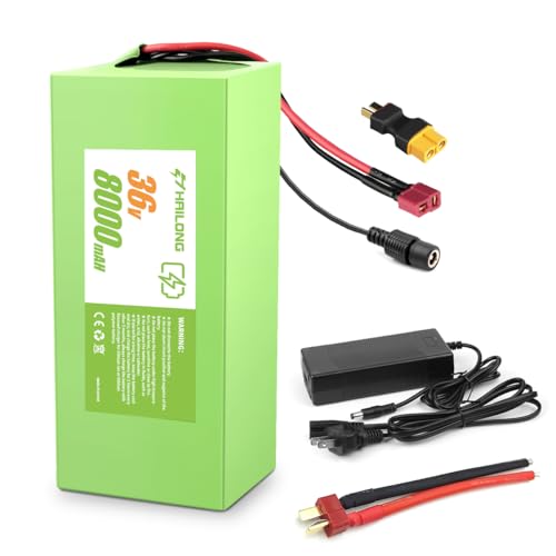 Batería-recargable-universal-RANSYRI-de-36-V-y-8-Ah-con-adaptador-de-42-V-y-2-A-|-BMS-de-20-A-y-diseño-impermeable-(sistemas-de-200-a-500-W)