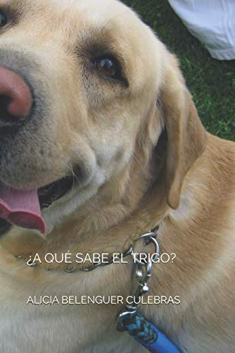 Libro: ¿A qué sabe el trigo?: De lo sublime y lo bello (Spanish Edition)
