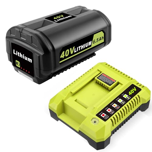 Batería-SKYON-OP40601-de-6,5-Ah-y-40-V,-compatible-con-Ryobi-OP40601,-OP40602,-OP4060A1,-OP4050A,-OP4040,-OP4030,-OP40261,-OP4026A,-OP40201-de-5-Ah-y-cargador-rápido-de-40-V.
