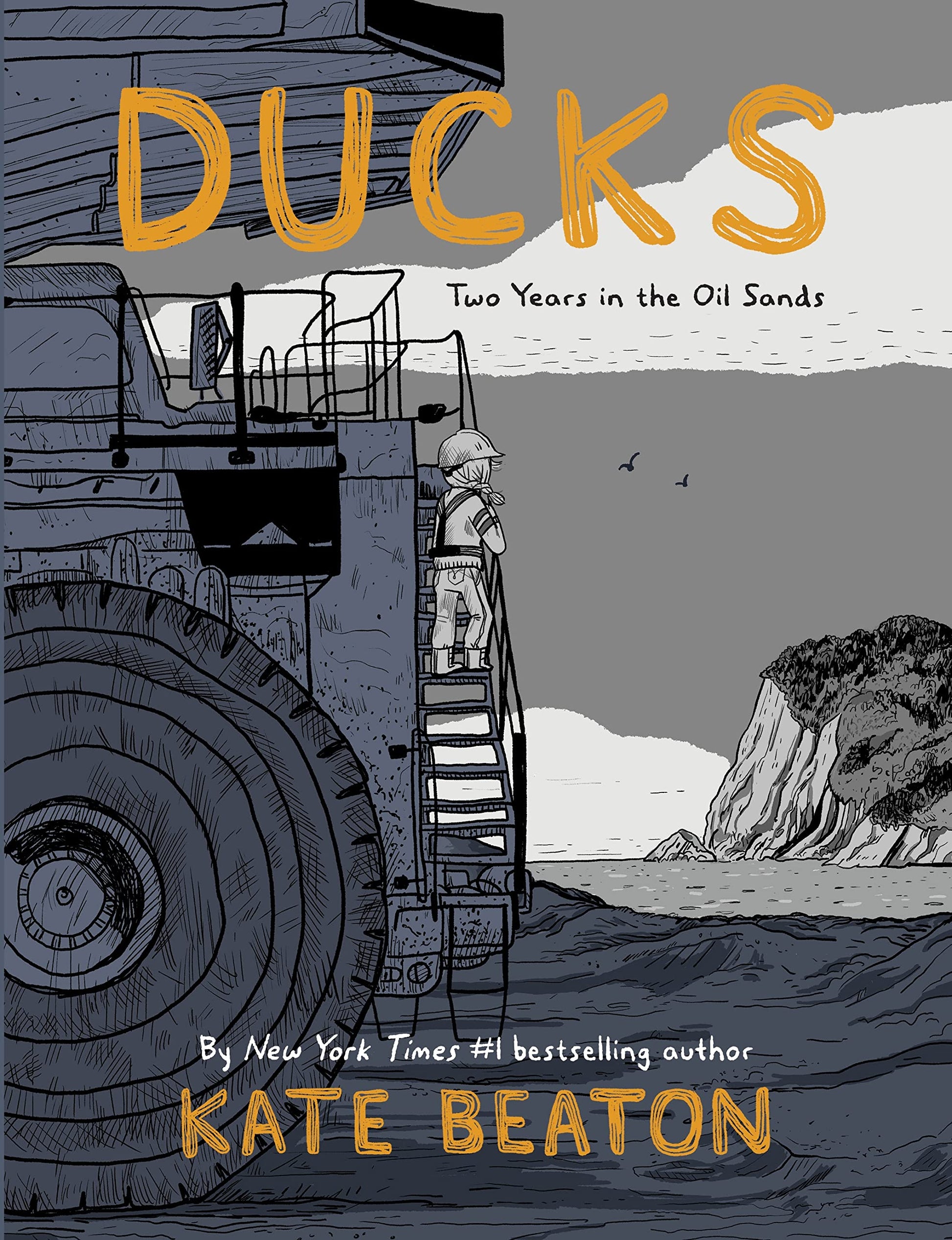 Libro: Ducks