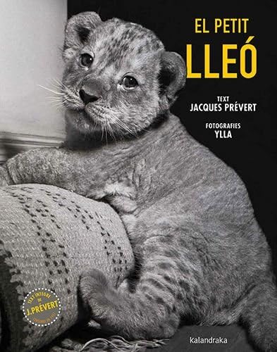 Libro: El petit lleó