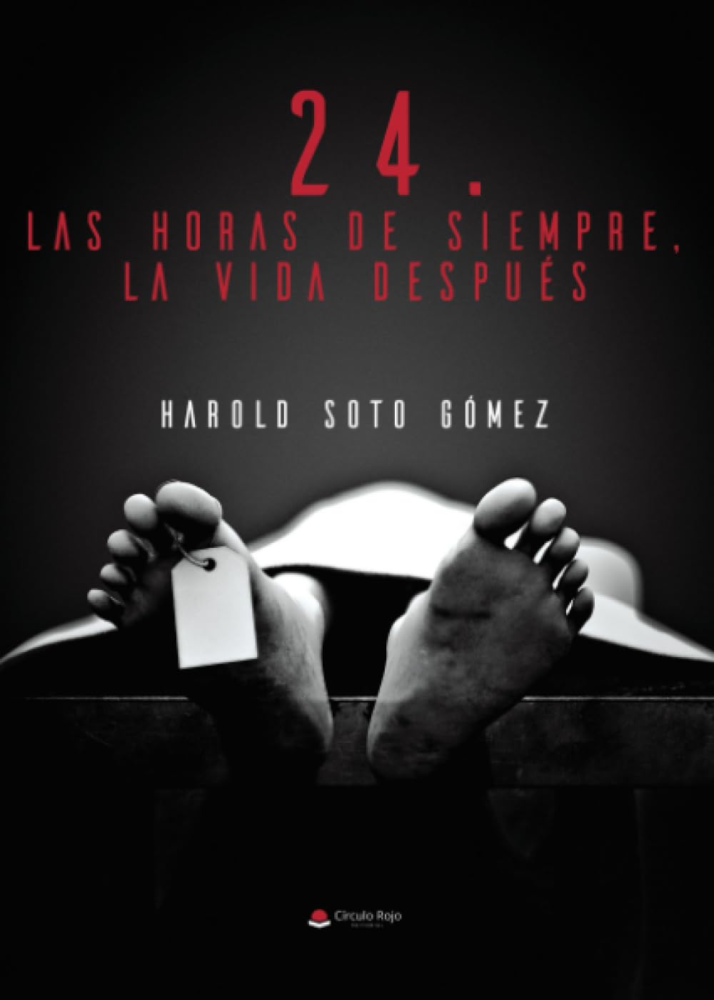Libro: 24. Las horas de siempre, la vida después