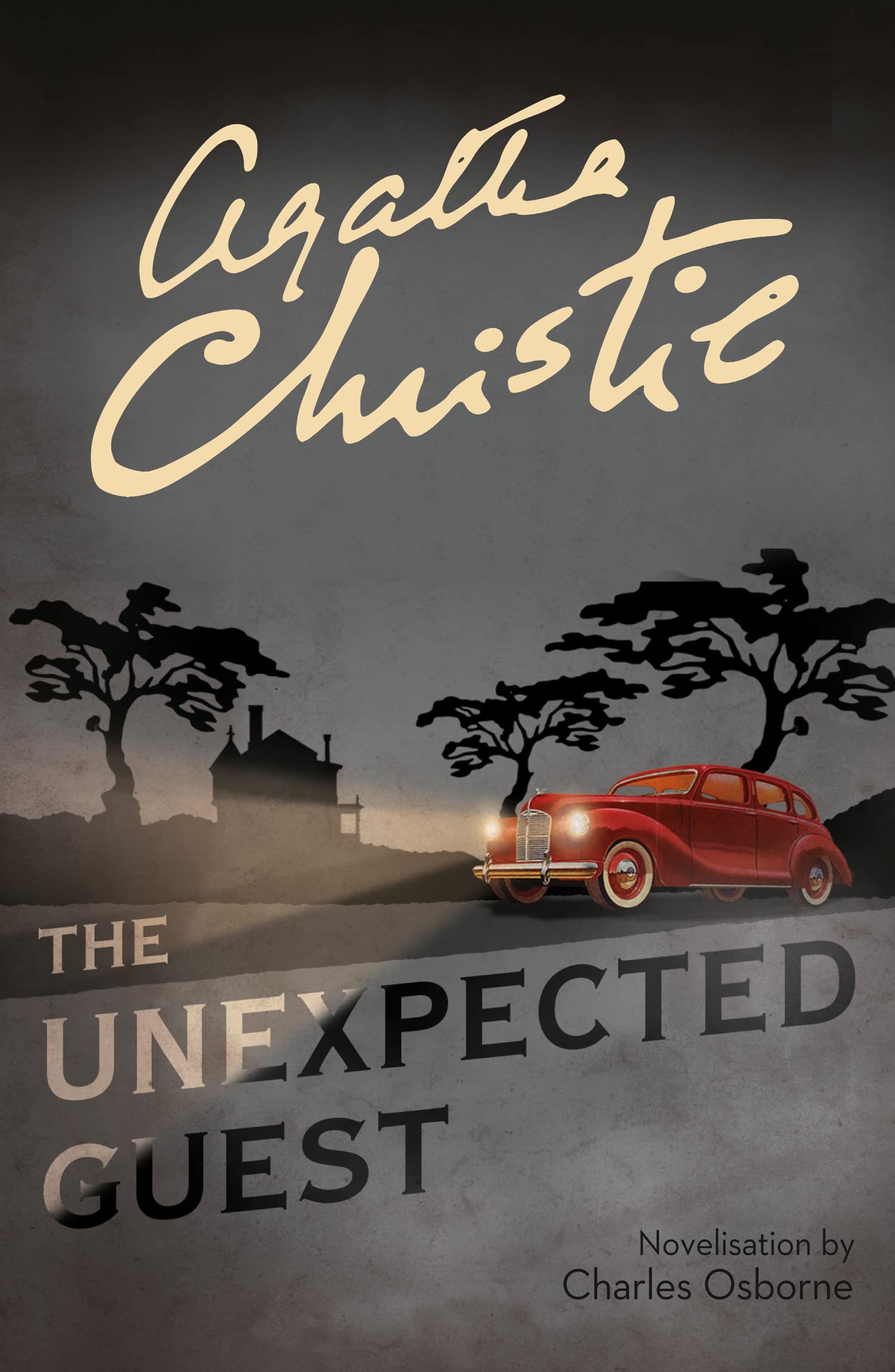 Libro: Unexpected Guest