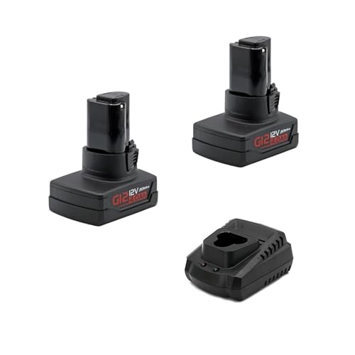 Batería-intercambiable-de-iones-de-litio-ACDelco-AB1225LA-2-G12-Series-de-12-V-y-4,0-Ah-(2-baterías-+-cargador)
