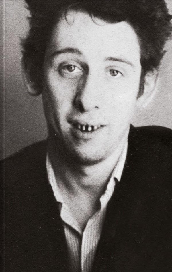 Libro: UNA FURIOSA DEVOCIÓN: La biografía autorizada de Shane Macgowan: 03 (BIHOTZA)