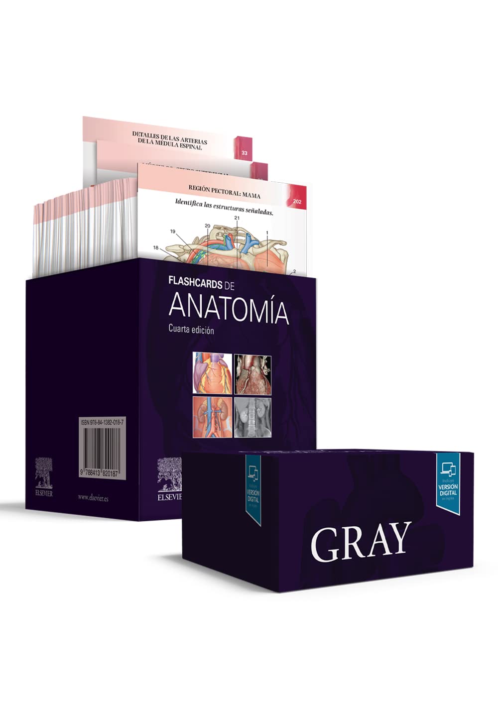Libro: Gray. Flashcards de Anatomía, 4.ª Edición