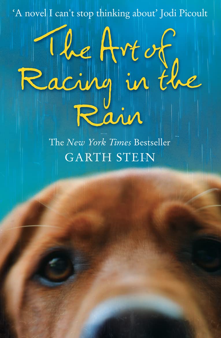 Libro: the art of racing in the rain: a novel. garth stein