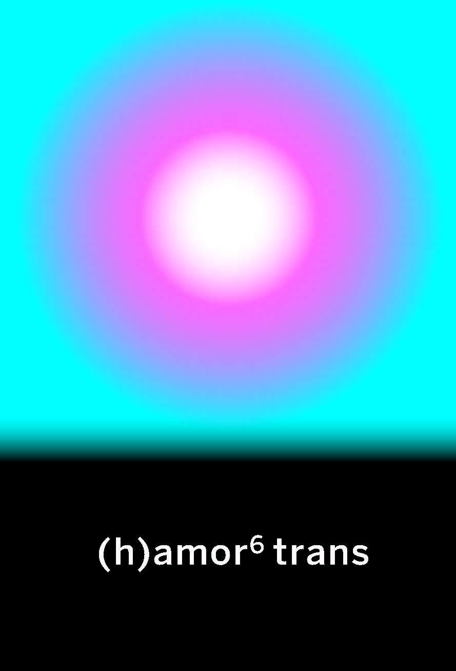 Libro: (h)amor 6 trans
