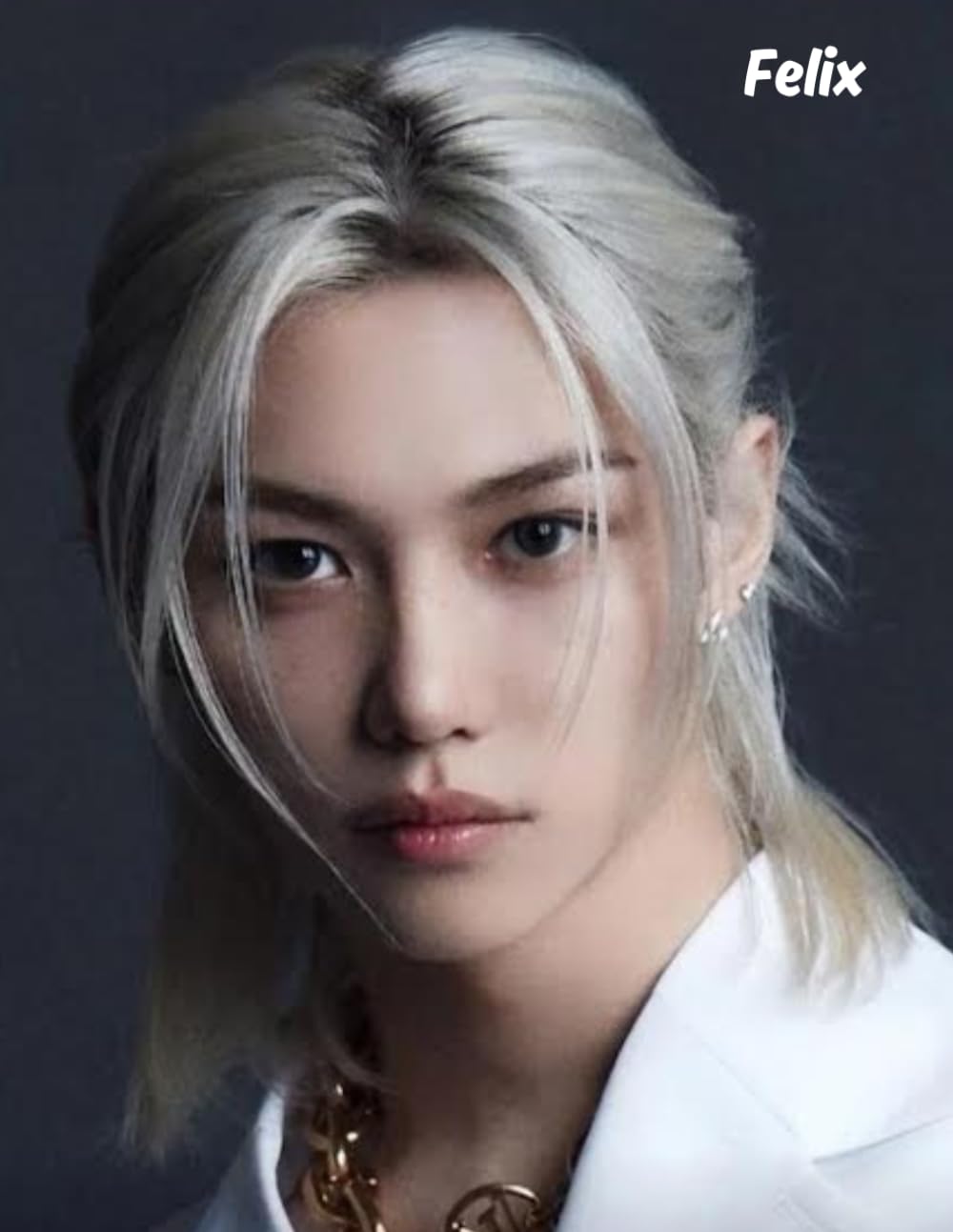 Libro: Felix Journal: Stray Kids